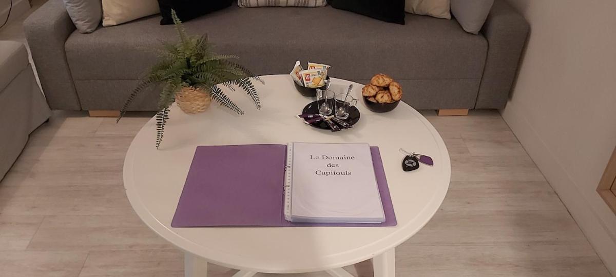 Apartament Les Capitouls - Avec Entree Autonome, Clim Neuve, Jardin, Parking Prive & Sa Piscine ! - Tuluza Zewnętrze zdjęcie
