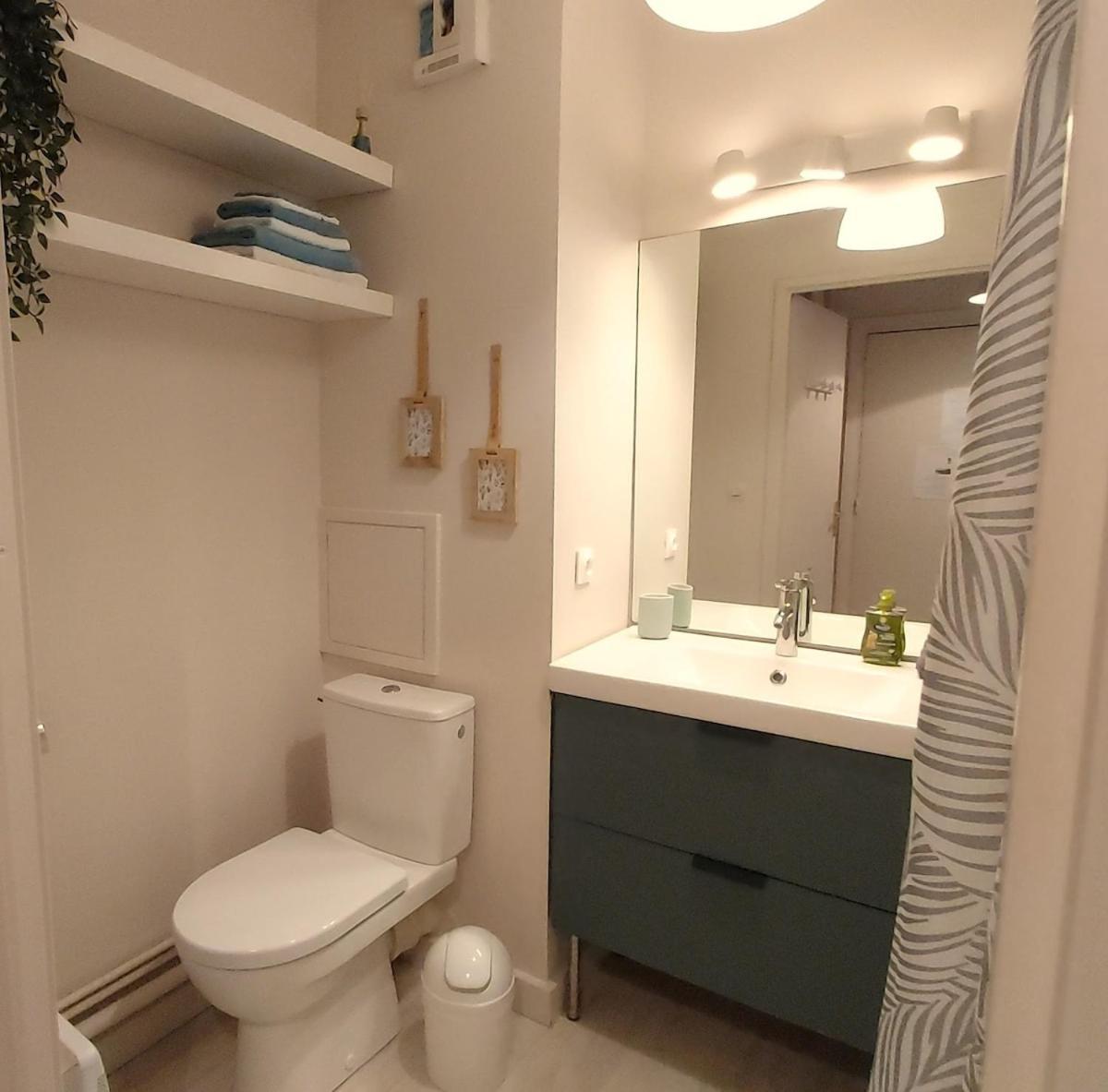 Apartament Les Capitouls - Avec Entree Autonome, Clim Neuve, Jardin, Parking Prive & Sa Piscine ! - Tuluza Zewnętrze zdjęcie